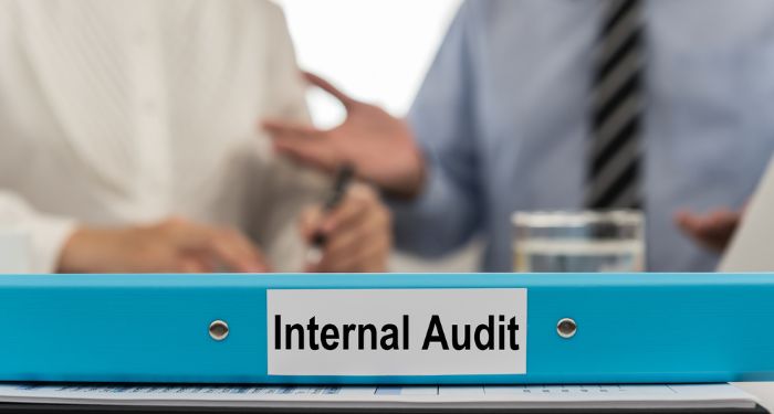 Why Invest in Internal Audit?