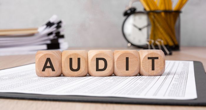 Making Sense of Different Nonprofit Audits