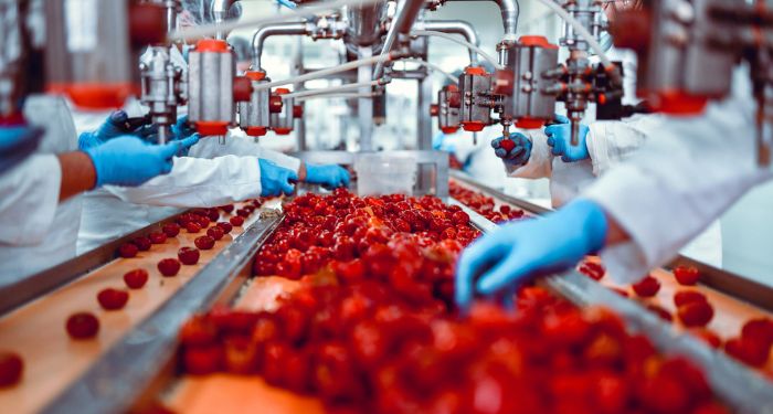 Waste Not: Solutions for Food Supply Chain Losses