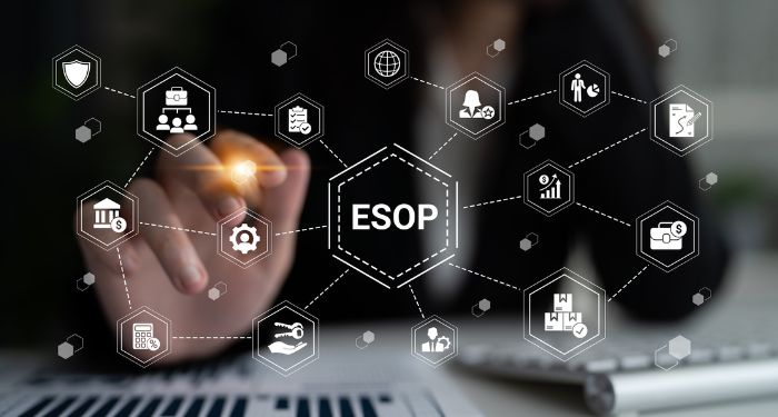 ESOP Valuations: Same as Other Valuations or Different?